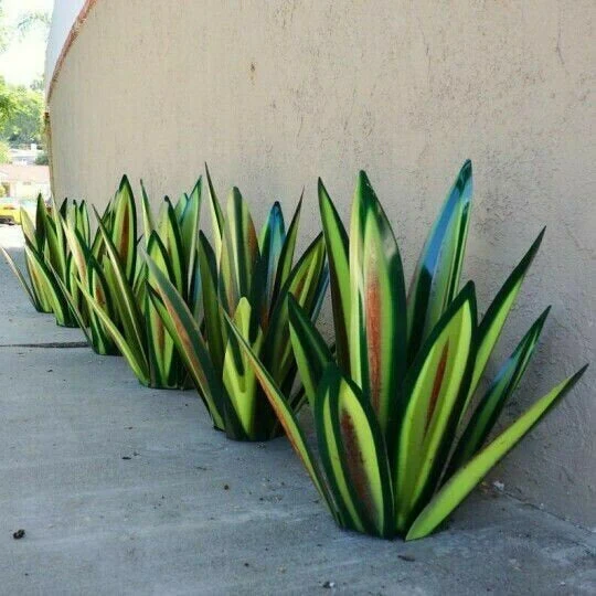 Anti-rust Metal Tequila Agave Plant - Image 14