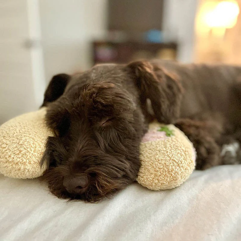 Sherum Pet Pillows - Image 5