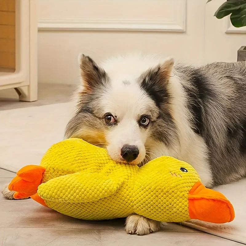Sherum Calm Duck - Image 3