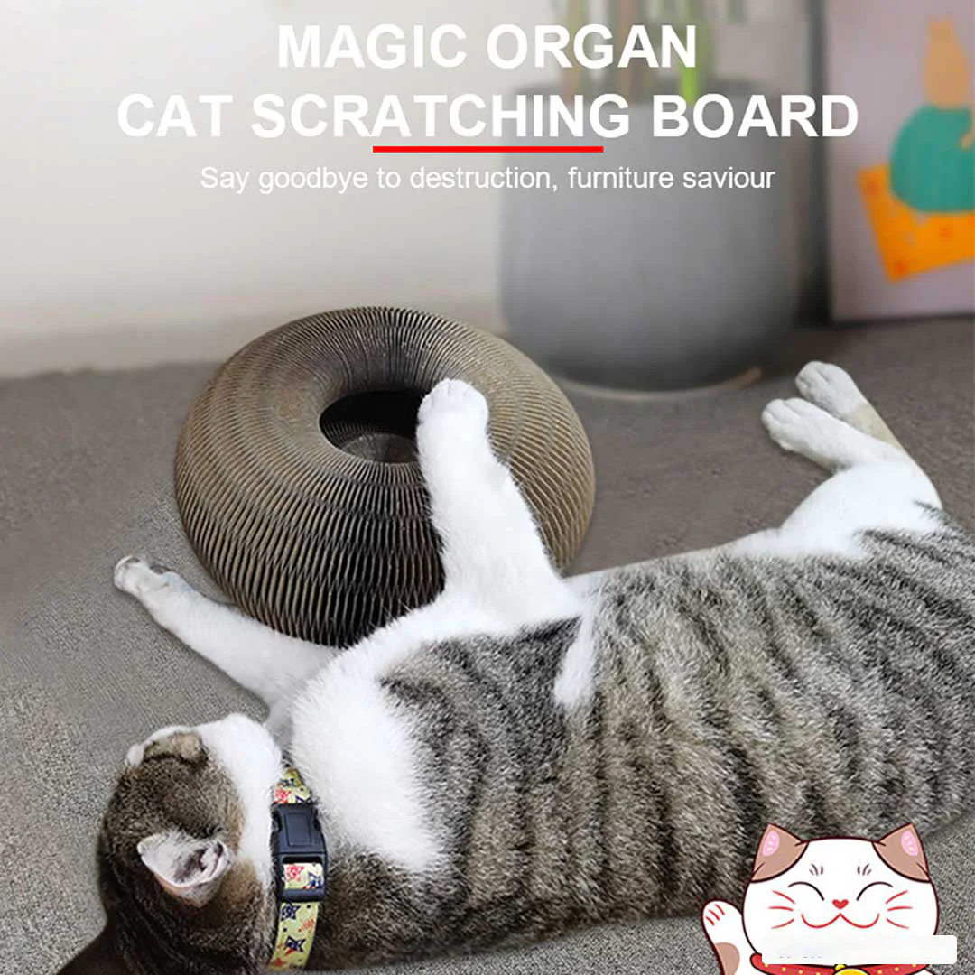 Sherum Magic Organ Cat Scratch Board. - Image 13