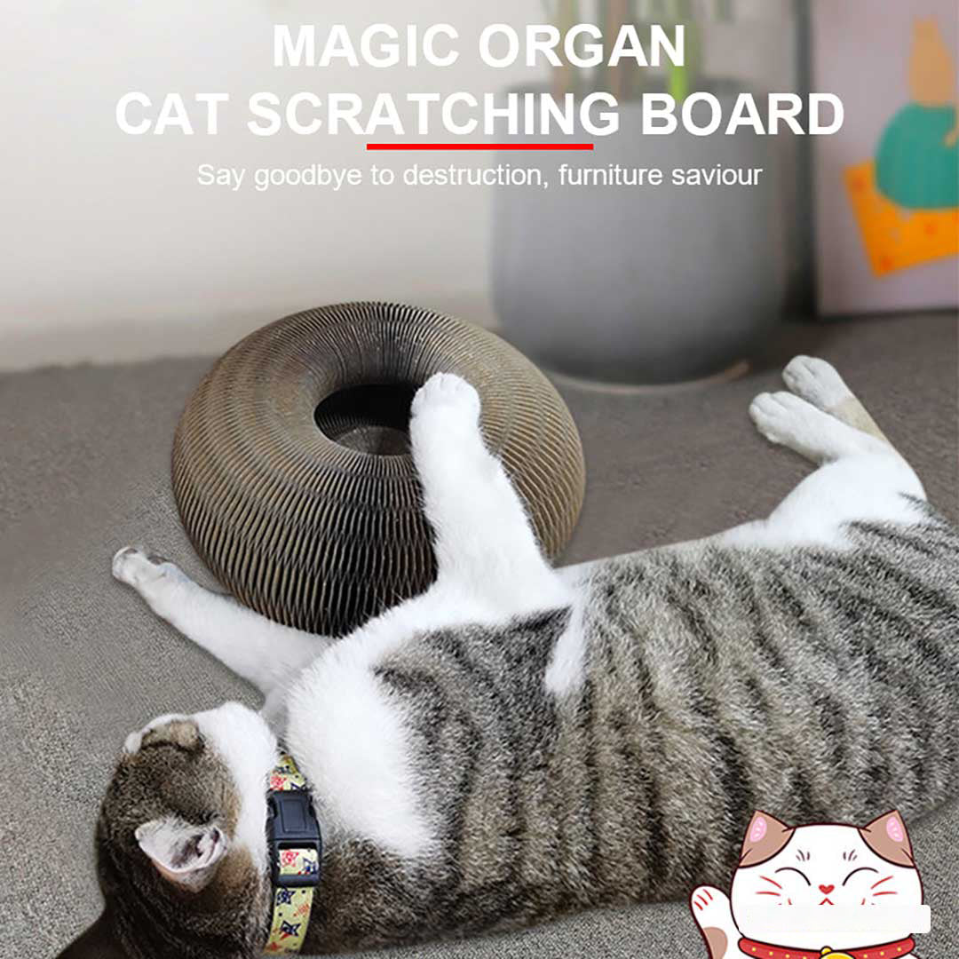 Sherum Magic Organ Cat Scratch Board. - Image 6